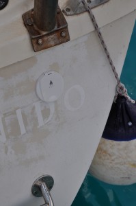 DSC_0598